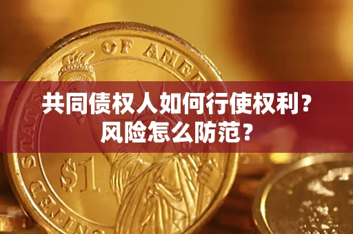北京共同债权人如何行使权利？风险怎么防范？