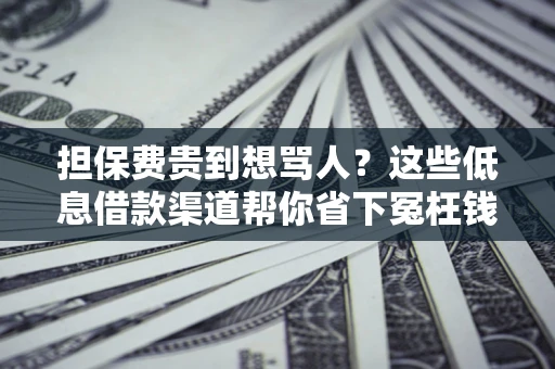 北京担保费贵到想骂人？这些低息借款渠道帮你省下冤枉钱
